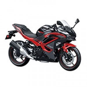 2024-2025 Kawasaki Ninja 500 Verkleidung