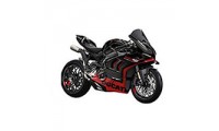 Ducati Panigale V4 V4S Verkleidung