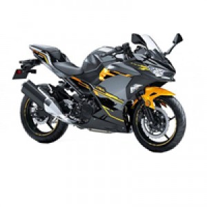 Kawasaki Ninja 400 EX400 Verkleidung