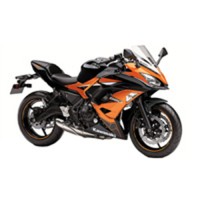 Verkleidung Ninja EX650 2017-2019