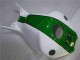 CBR 1000 RR 2004-2005 Motorrad Verkleidungen - Grün Weiß CBR 1000 RR 2004-2005 Motorrad Verkleidungen - Grün Weiß