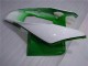 CBR 1000 RR 2004-2005 Motorrad Verkleidungen - Grün Weiß CBR 1000 RR 2004-2005 Motorrad Verkleidungen - Grün Weiß