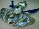 CBR 1000 RR 2006-2007 Motorrad Verkleidungen - Blau Flamme Silber CBR 1000 RR 2006-2007 Motorrad Verkleidungen - Blau Flamme Silber