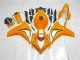 CBR 1000 RR 2008-2011 Motorrad Verkleidung - Orange CBR 1000 RR 2008-2011 Motorrad Verkleidung - Orange