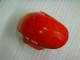 CBR 1000 RR 2008-2011 Motorrad Verkleidung - Rot Silber