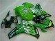 CBR 1000 RR 2008-2011 Motorrad Verkleidungen - Grün CBR 1000 RR 2008-2011 Motorrad Verkleidungen - Grün