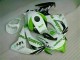 CBR 1000 RR 2008-2011 Motorrad Verkleidungen - Grün Weiß CBR 1000 RR 2008-2011 Motorrad Verkleidungen - Grün Weiß