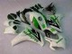 CBR 1000 RR 2008-2011 Motorrad Vollverkleidung - Grün Weiß CBR 1000 RR 2008-2011 Motorrad Vollverkleidung - Grün Weiß