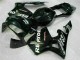 CBR 600 RR 2003-2004 Motor Verkleidungen - Schwarz CBR 600 RR 2003-2004 Motor Verkleidungen - Schwarz