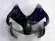 CBR 600 RR 2003-2004 Motorrad Verkleidungen - Schwarz mit Blaur Flamme CBR 600 RR 2003-2004 Motorrad Verkleidungen - Schwarz mit Blaur Flamme