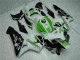 CBR 600 RR 2005-2006 Motorrad Verkleidung - Grün CBR 600 RR 2005-2006 Motorrad Verkleidung - Grün