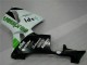 CBR 600 RR 2005-2006 Motorrad Verkleidungen - Grün CBR 600 RR 2005-2006 Motorrad Verkleidungen - Grün