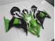 EX300 2013-2016 Motorrad Verkleidung - Grün Schwarz EX300 2013-2016 Motorrad Verkleidung - Grün Schwarz