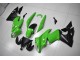 EX650 2009-2011 Motorrad Verkleidungen - Grün Schwarz EX650 2009-2011 Motorrad Verkleidungen - Grün Schwarz