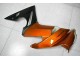 EX650 2009-2011 Motorrad Verkleidungen - Orange EX650 2009-2011 Motorrad Verkleidungen - Orange