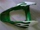 Honda CBR1000RR Motorrad Verkleidung 2006-2007 - Weiss Grun Flamme
