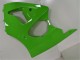 Kawasaki ZX6R Motorrad Verkleidung 2000-2002 - Grun Schwarz