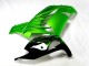 Kawasaki ZX14R ZZR1400 Motorrad Verkleidung 2012-2024 - Grun Glanzendes Schwarz