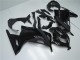Kawasaki Ninja 300 EX300R Motorrad Verkleidung 2013-2024 - Glanzendes Schwarz Matt Schwarz