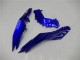Kawasaki Ninja 300 EX300R Motorrad Verkleidung 2013-2017 - Blau Schwarz Weiss Flamme