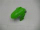 Kawasaki Ninja 300 EX300R Motorrad Verkleidung 2013-2017 - Weiss Grun Schwarz