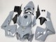 Honda CBR600RR Motorrad Verkleidung 2005-2006 - Nardo Grau