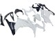 Kawasaki EX300 Motorrad Verkleidung 2013-2024 - Weiss Schwarz