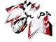Ducati 1199 Motorrad Verkleidung 2011-2014 - Weiss Rot Grun Glanzendes Schwarz
