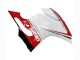 Ducati 1199 Motorrad Verkleidung 2011-2014 - Weiss Rot Grun Glanzendes Schwarz