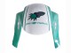 Honda CBR600RR Motorrad Verkleidung 2005-2006 - Hellgrun Weiss Glanzendes Schwarz Joe Rocket