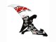Yamaha YZF 1000 R1 Motorrad Verkleidung 2002-2003 - Weiss Rot Schwarz Castrol