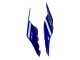 Yamaha YZF 1000 R1 Motorrad Verkleidung 2015-2019 - Blau Glanzendes Schwarz Grun Monster
