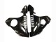 Yamaha YZF 600 R6 Motorrad Verkleidung 2005 - Glanzendes Schwarz