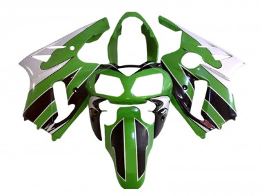 Kawasaki ZX12R Motorrad Verkleidung 2002-2006 - Weiss Grun Schwarz