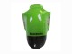 Kawasaki ZX12R Motorrad Verkleidung 2002-2006 - Grun Glanzendes Schwarz Elf Touch4 Monster