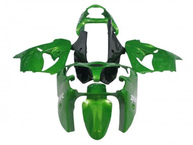 Kawasaki ZX12R Motorrad Verkleidung 2002-2006 - Grun Schwarz