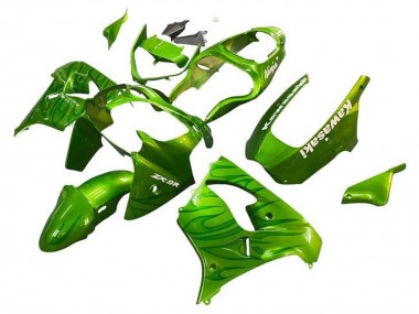 Kawasaki ZX9R Motorrad Verkleidung 2002-2003 - Grun Flamme