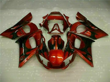 R6 1998-2002 Motorrad Verkleidung - Braun