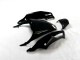 ZX14R ZZR 1400 2012-2021 Motorrad Verkleidungen - Schwarz Grün ZX14R ZZR 1400 2012-2021 Motorrad Verkleidungen - Schwarz Grün