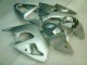 ZX6R 2000-2002 Motorrad Verkleidungen - Silber ZX6R 2000-2002 Motorrad Verkleidungen - Silber