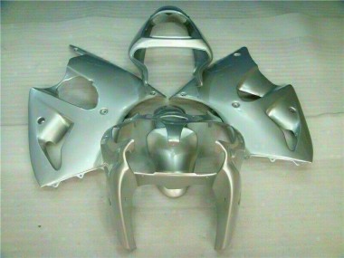 ZX6R 2000-2002 Motorrad Verkleidungen - Silber
