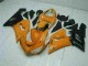 ZX6R 2005-2006 Motorrad Verkleidungen - Orange ZX6R 2005-2006 Motorrad Verkleidungen - Orange