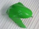 ZX6R 2005-2006 Motorrad Verkleidungen & Plastik - Grün ZX6R 2005-2006 Motorrad Verkleidungen & Plastik - Grün