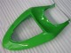 ZX6R 2005-2006 Motorrad Verkleidungen & Plastik - Grün ZX6R 2005-2006 Motorrad Verkleidungen & Plastik - Grün