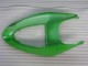ZX6R 2005-2006 Motorrad Verkleidungen & Plastik - Grün ZX6R 2005-2006 Motorrad Verkleidungen & Plastik - Grün