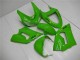 ZX6R 2005-2006 Motorrad Vollverkleidung - Grün ZX6R 2005-2006 Motorrad Vollverkleidung - Grün