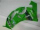 ZX6R 2009-2012 Motorrad Verkleidungen - Grün Schwarzer LeoVince ZX6R 2009-2012 Motorrad Verkleidungen - Grün Schwarzer LeoVince